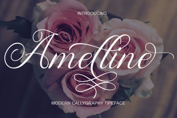 Amelline: A Modern Script Font for Elegant Web Typography