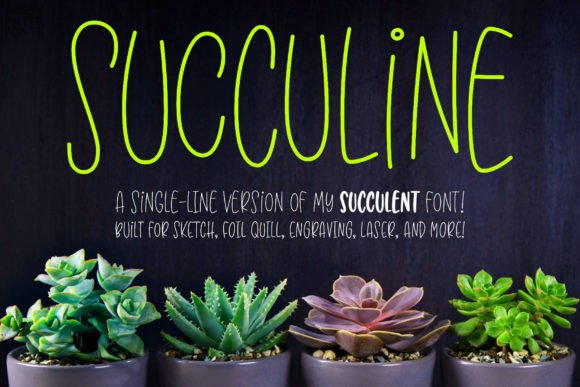 Succuline Single Line: A Clean, Bouncy Font for Business Branding